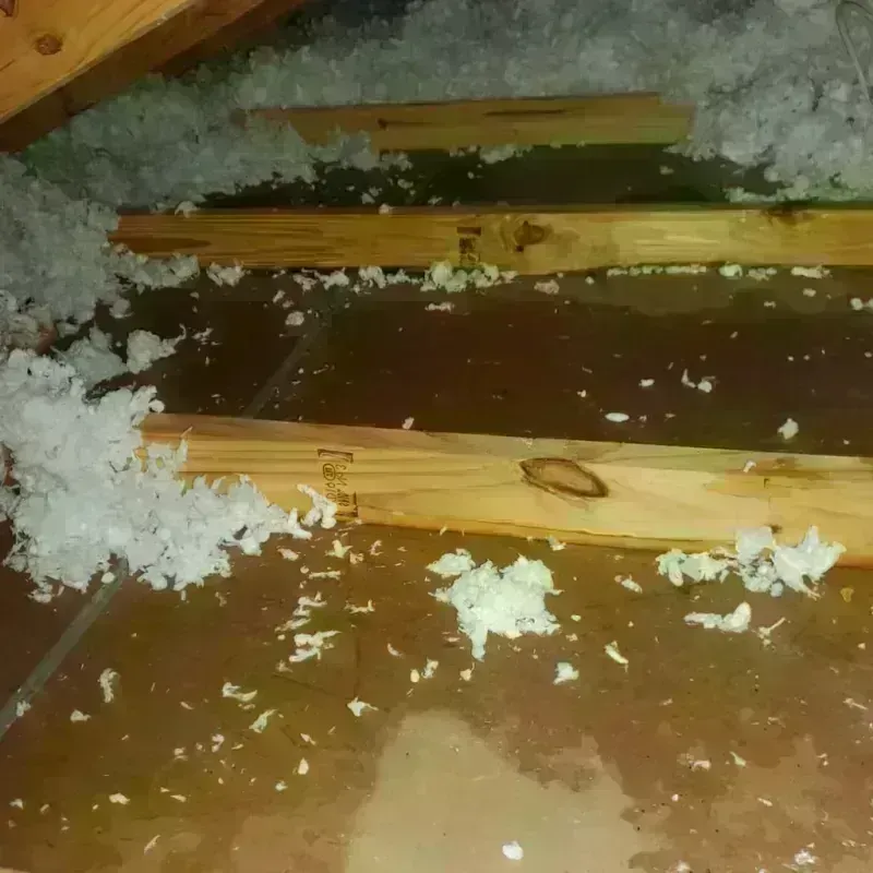 Attic Water Damage in Everett, MA